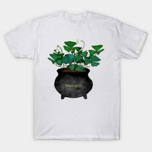 A Pot O' Shamrocks T-Shirt